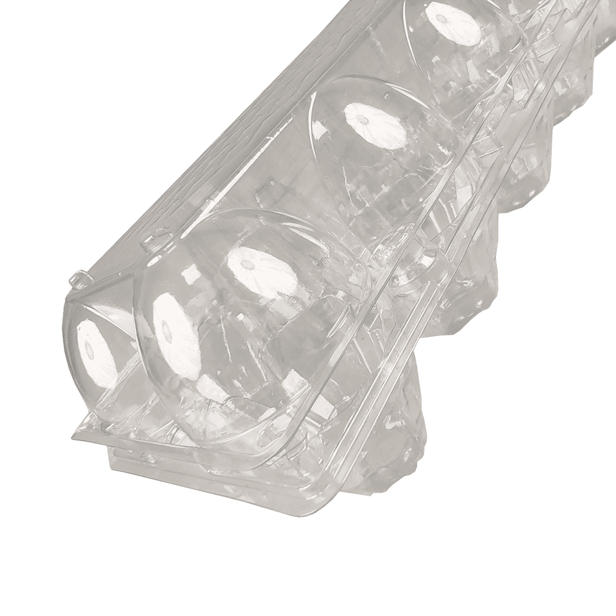 PET透明环保10个鸡蛋纸箱，适合野餐和旅行储存