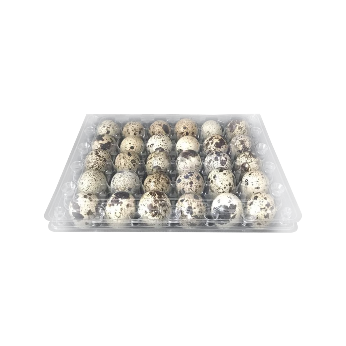 塑料鹌鹑蛋包装纸箱