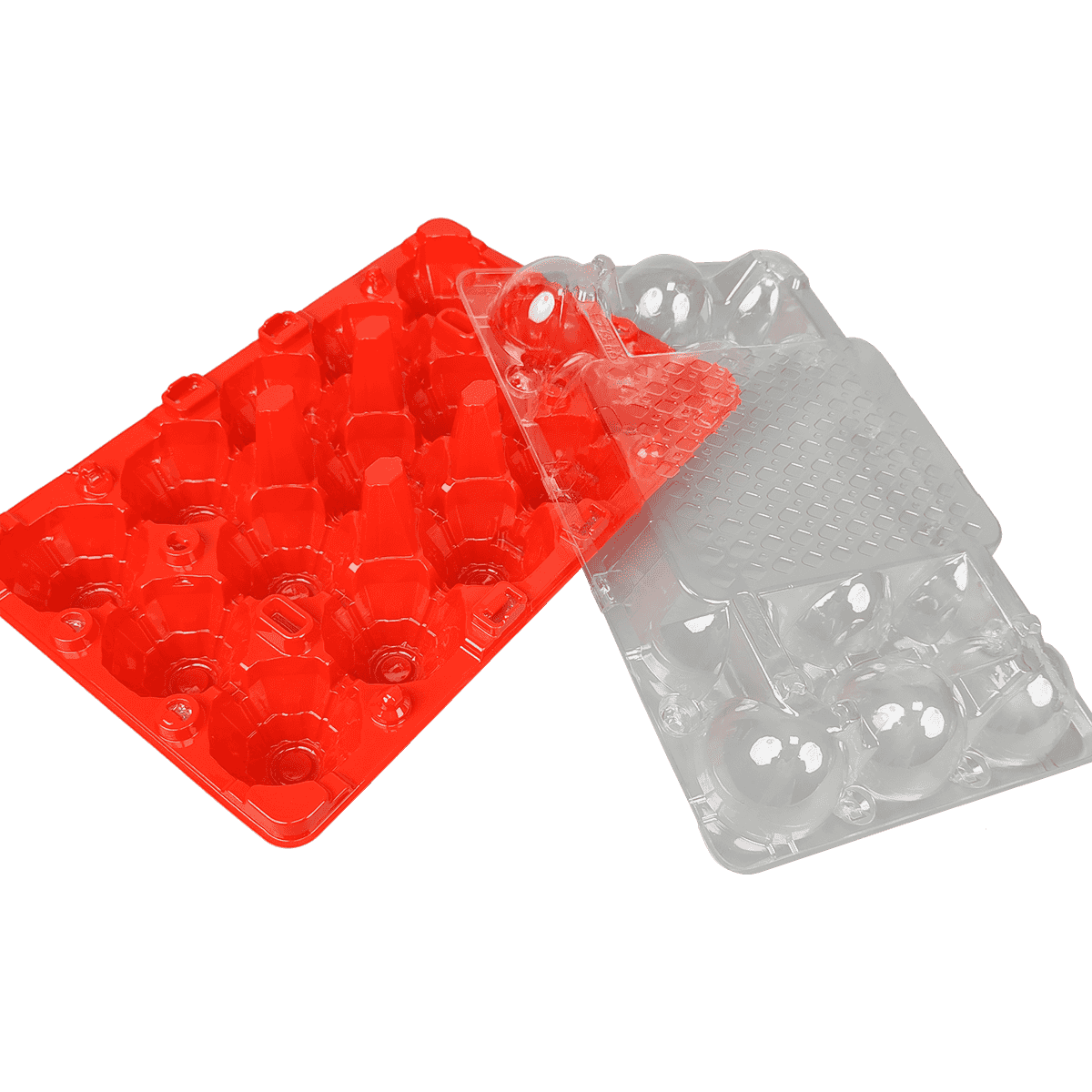 彩色底部和透明盖PET 15鸡蛋纸箱适合家庭存放