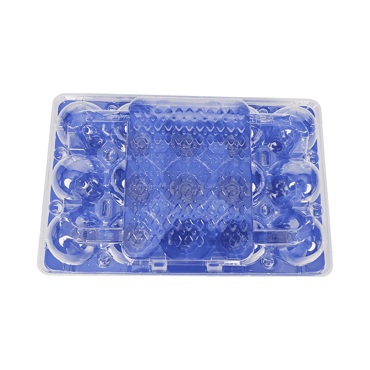 彩色底部和透明盖PET 15鸡蛋纸箱适合家庭存放