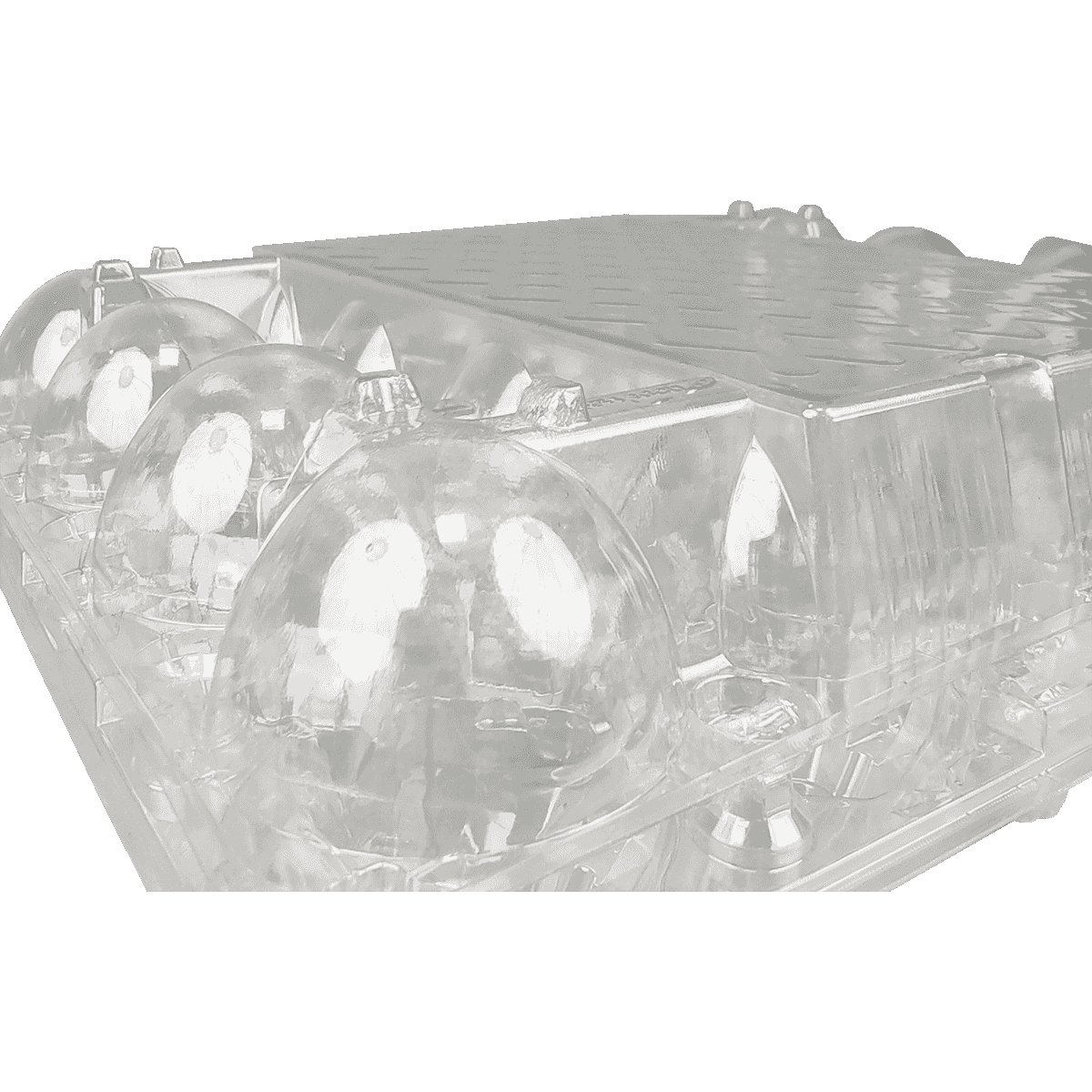 储存安全，易于查看透明的20个适合展示的鸡蛋盒