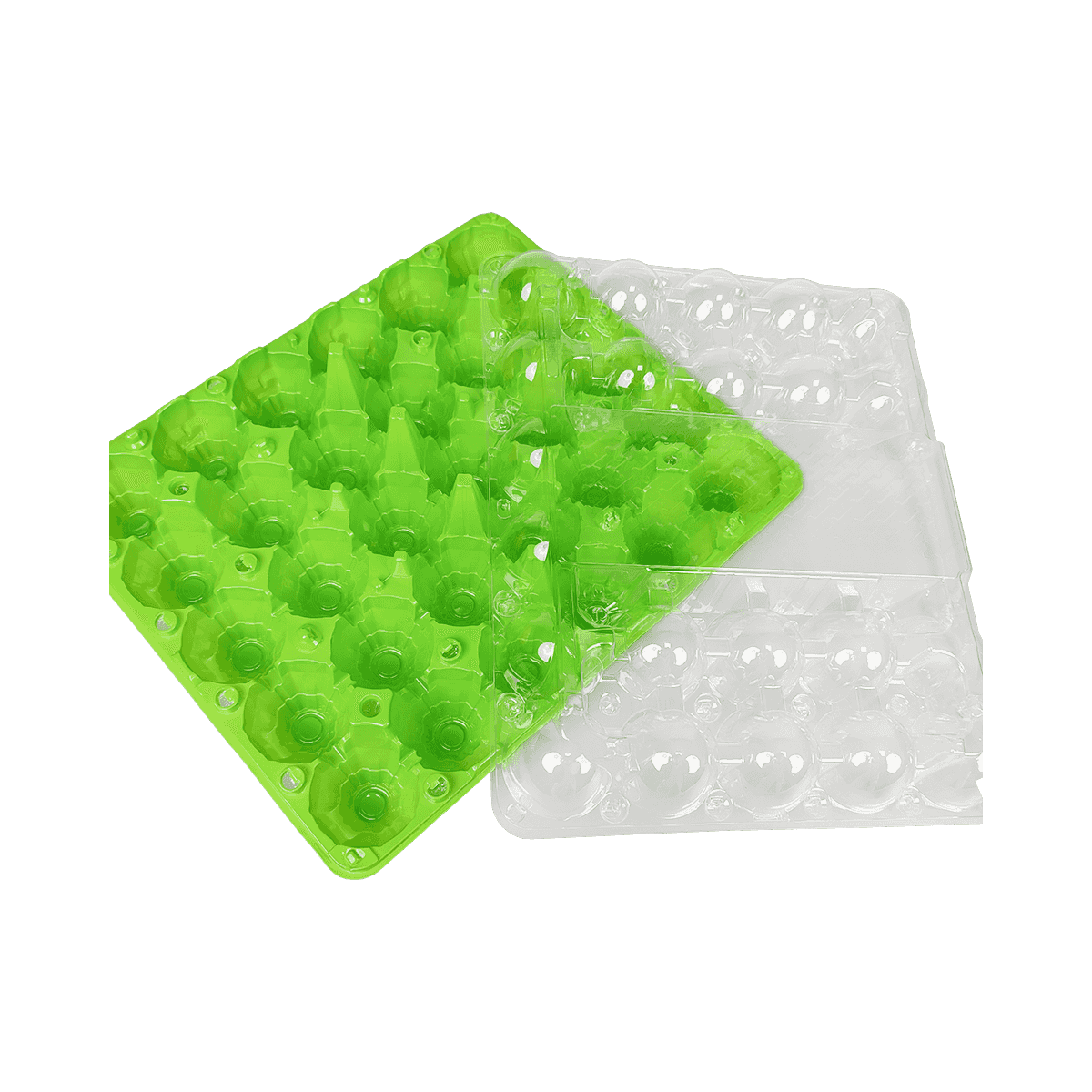 环保彩色底盘透明盖PET 30鸡蛋纸箱保护鸡蛋