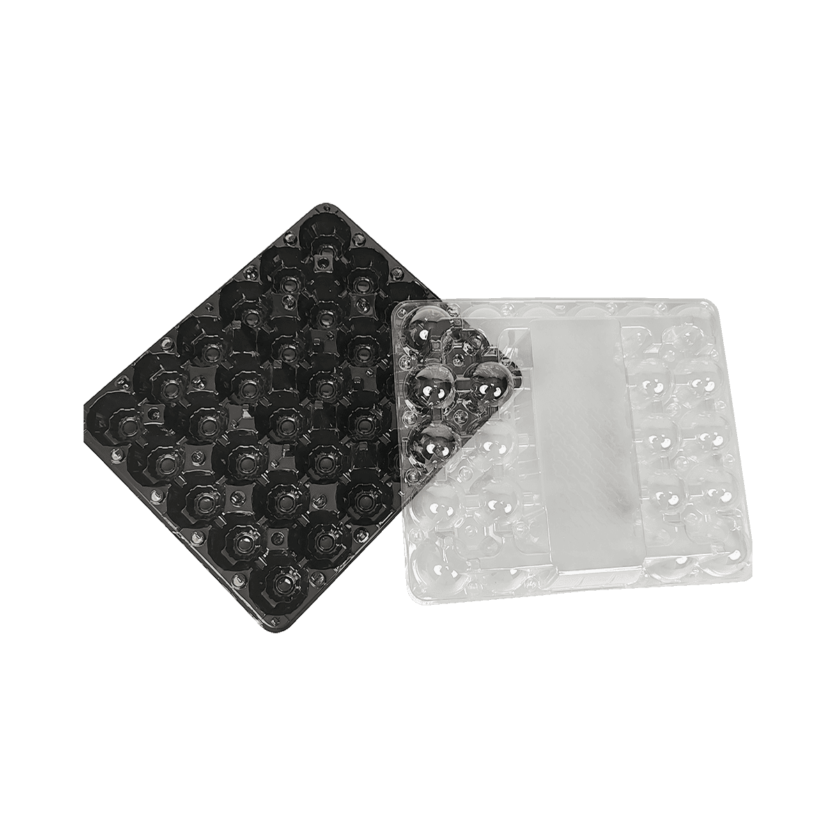 环保彩色底盘透明盖PET 30鸡蛋纸箱保护鸡蛋