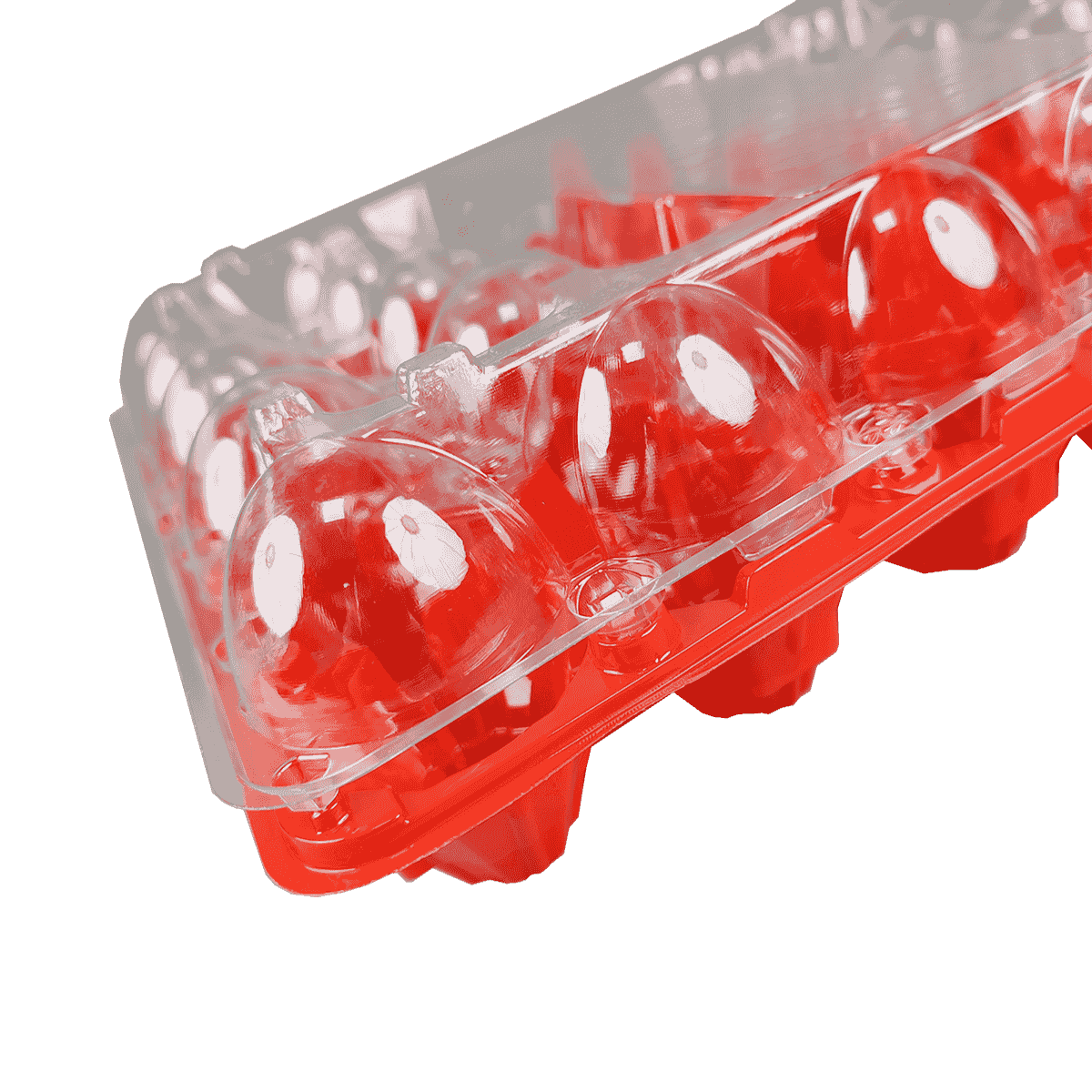 环保彩色底盘透明盖PET 30鸡蛋纸箱保护鸡蛋